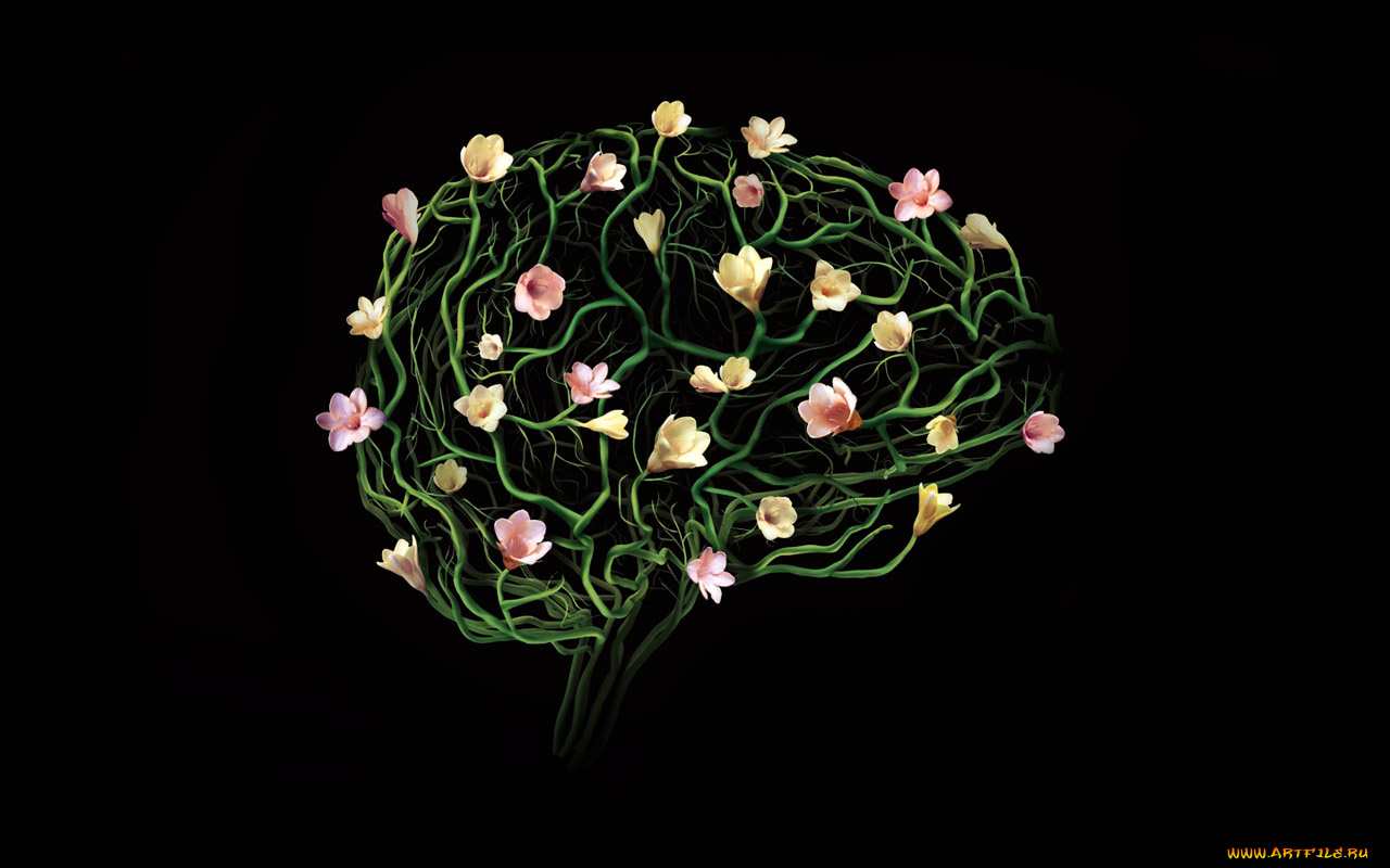 юмор, приколы