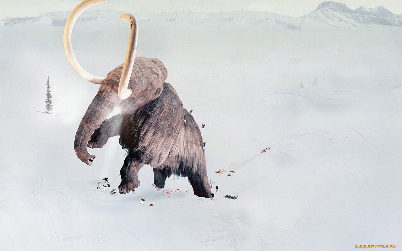 юмор, приколы