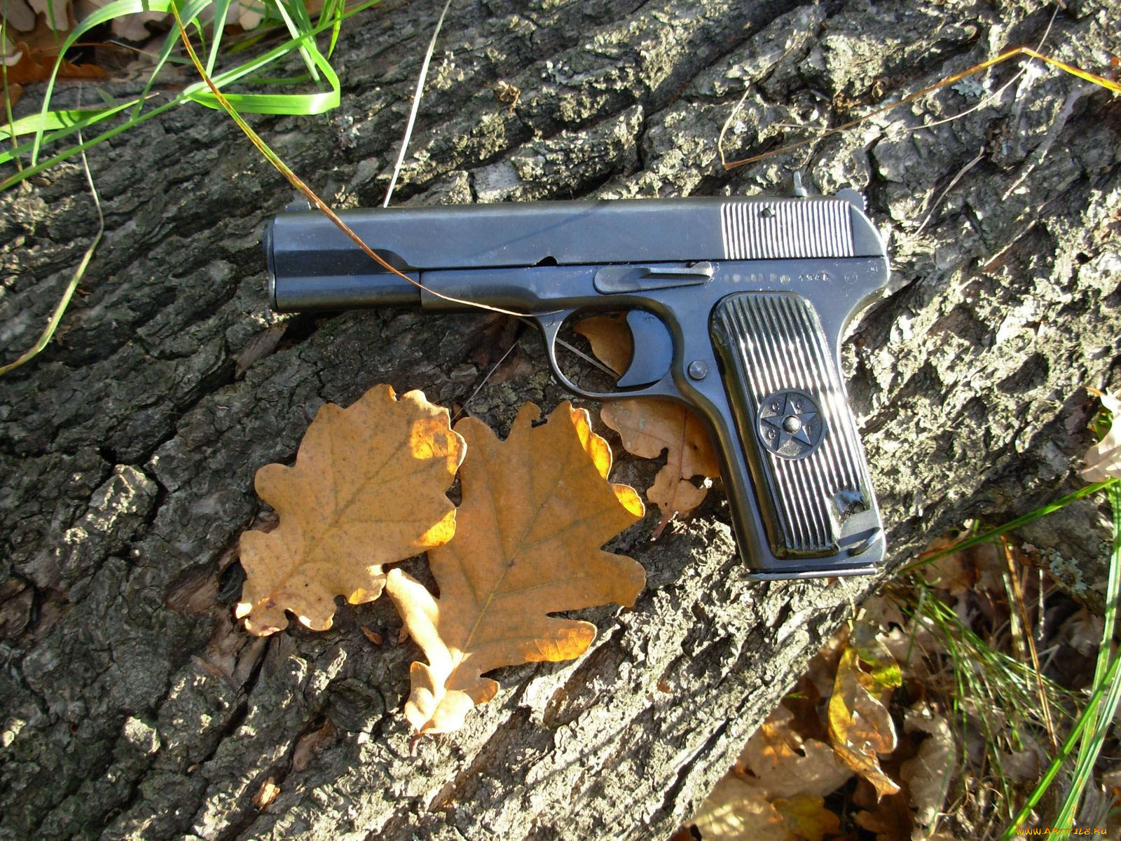 оружие, пистолеты