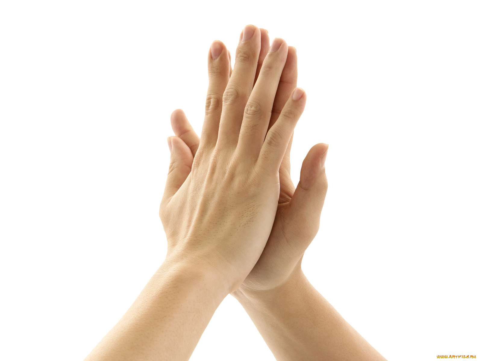 разное, руки