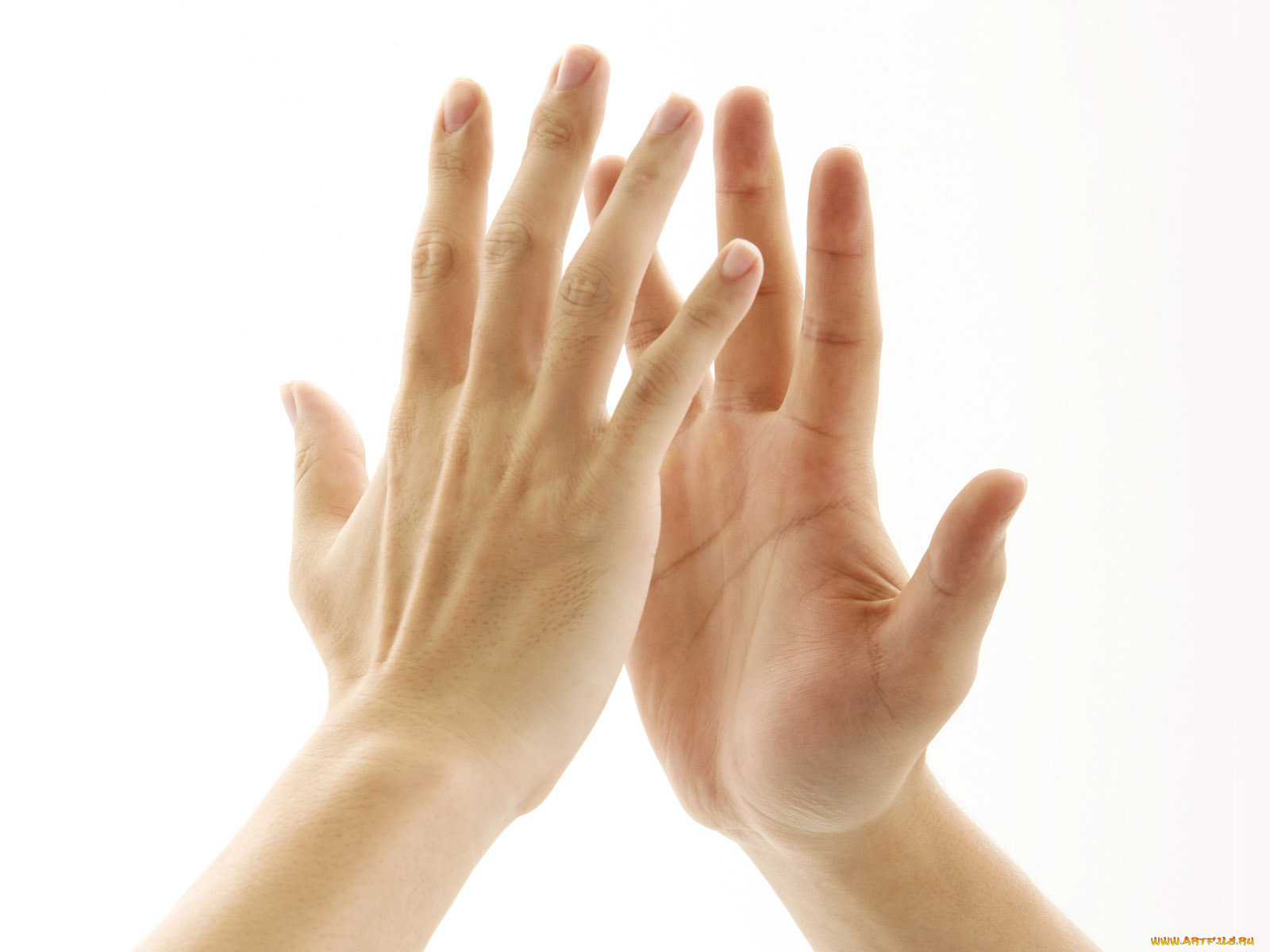 разное, руки