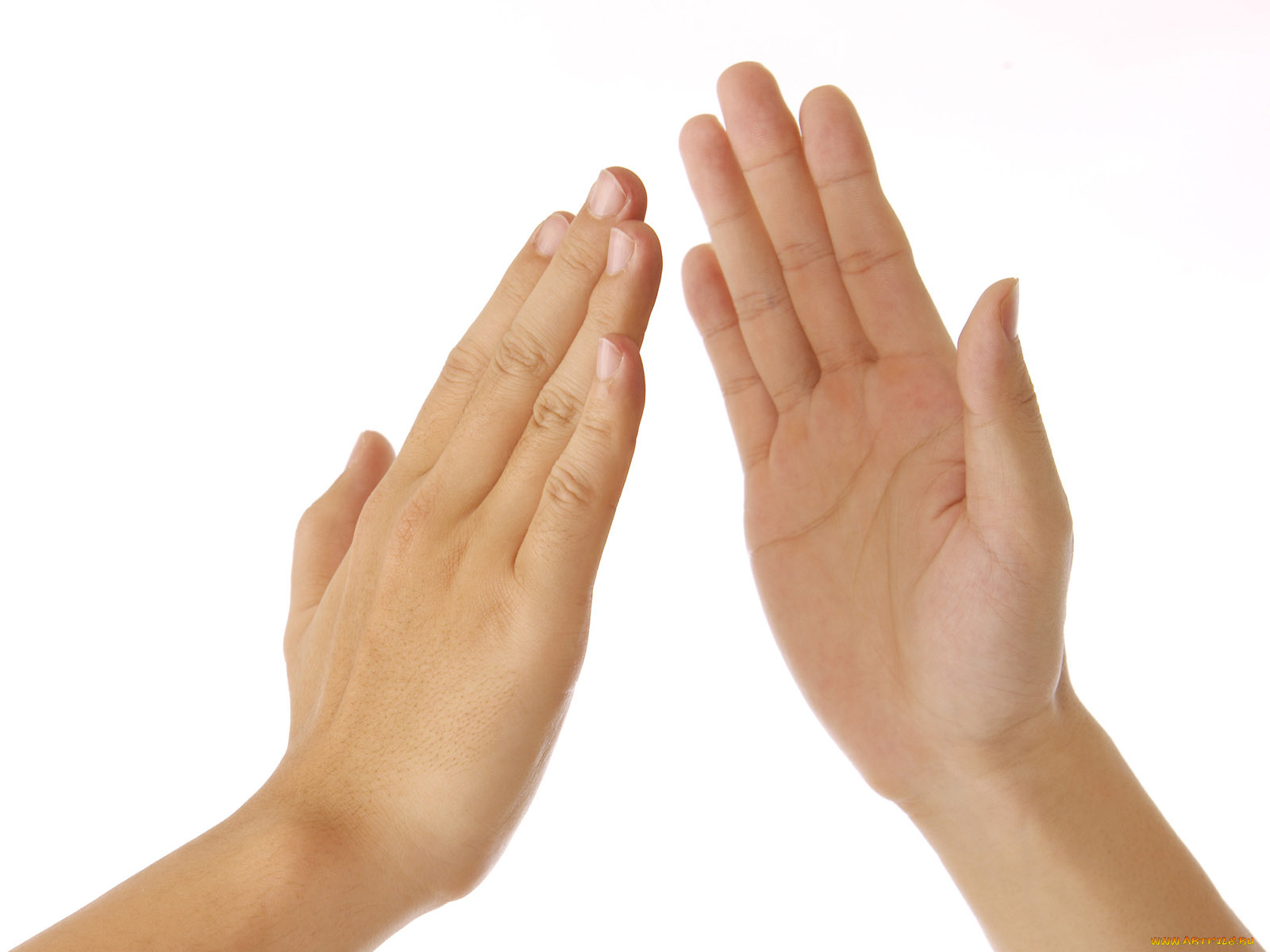 разное, руки