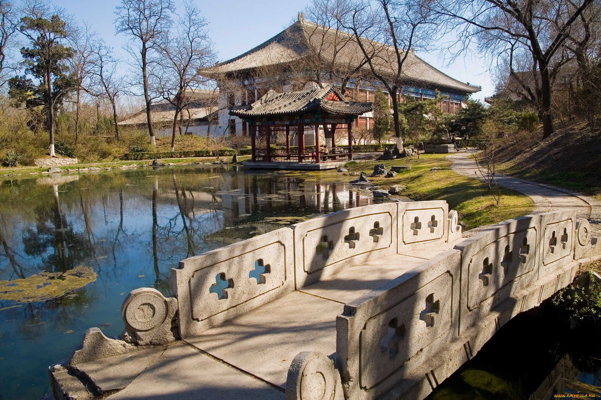 города, здания, дома, дом, мост