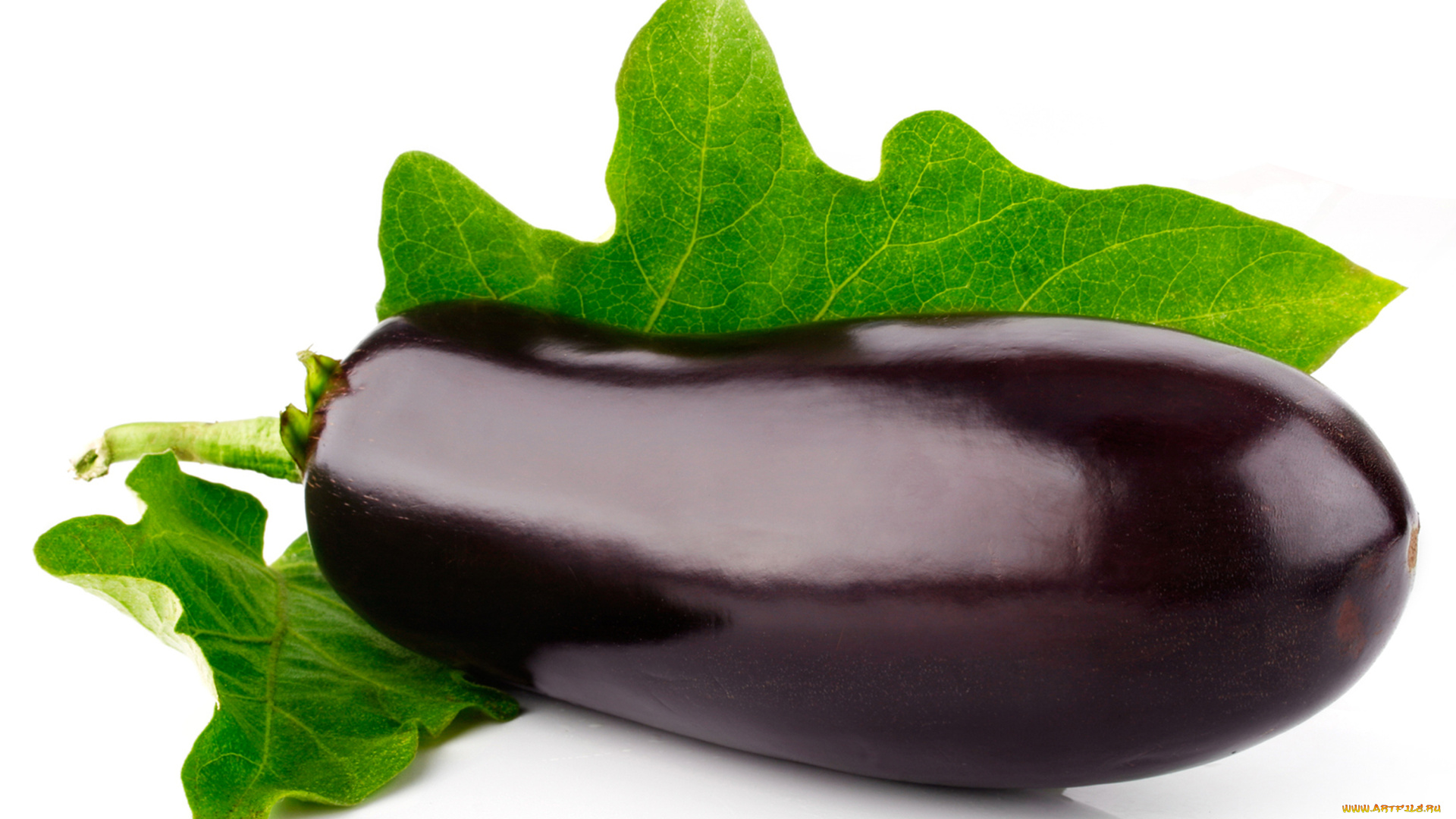 еда, баклажаны, синенький