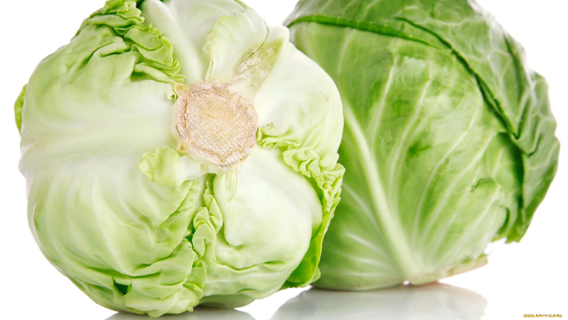 еда, капуста, и, её, разновидности, белокочанная