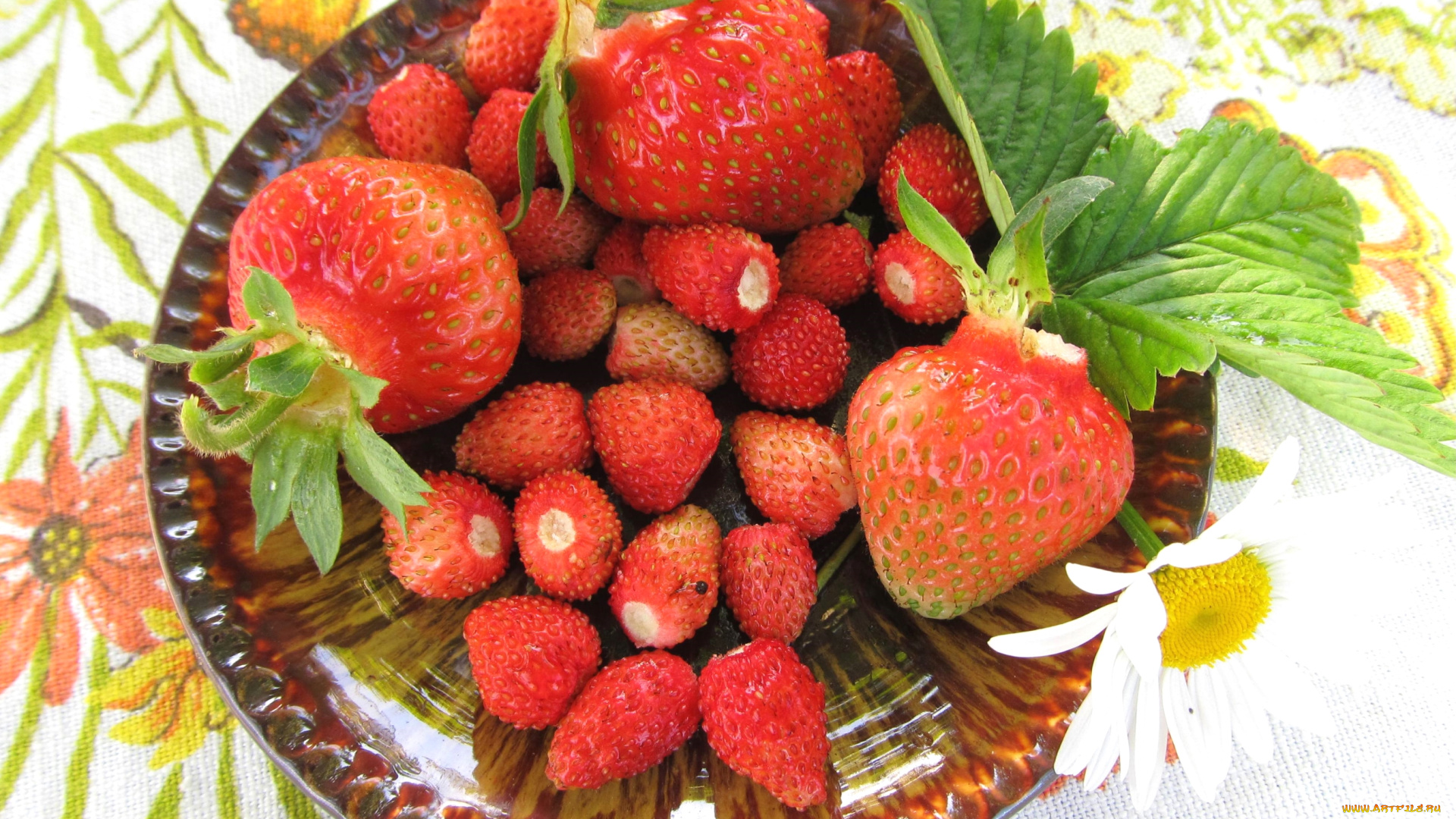 еда, клубника, , земляника, ягоды