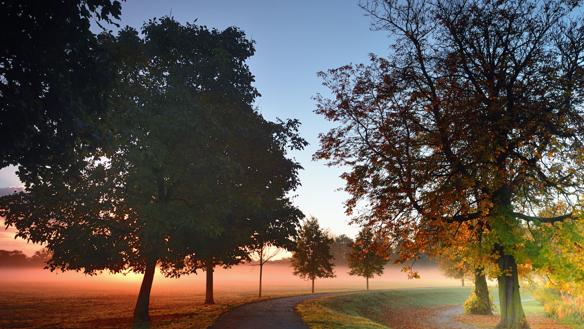 природа, дороги, дорога, туман, рассвет, осень, парк, деревья