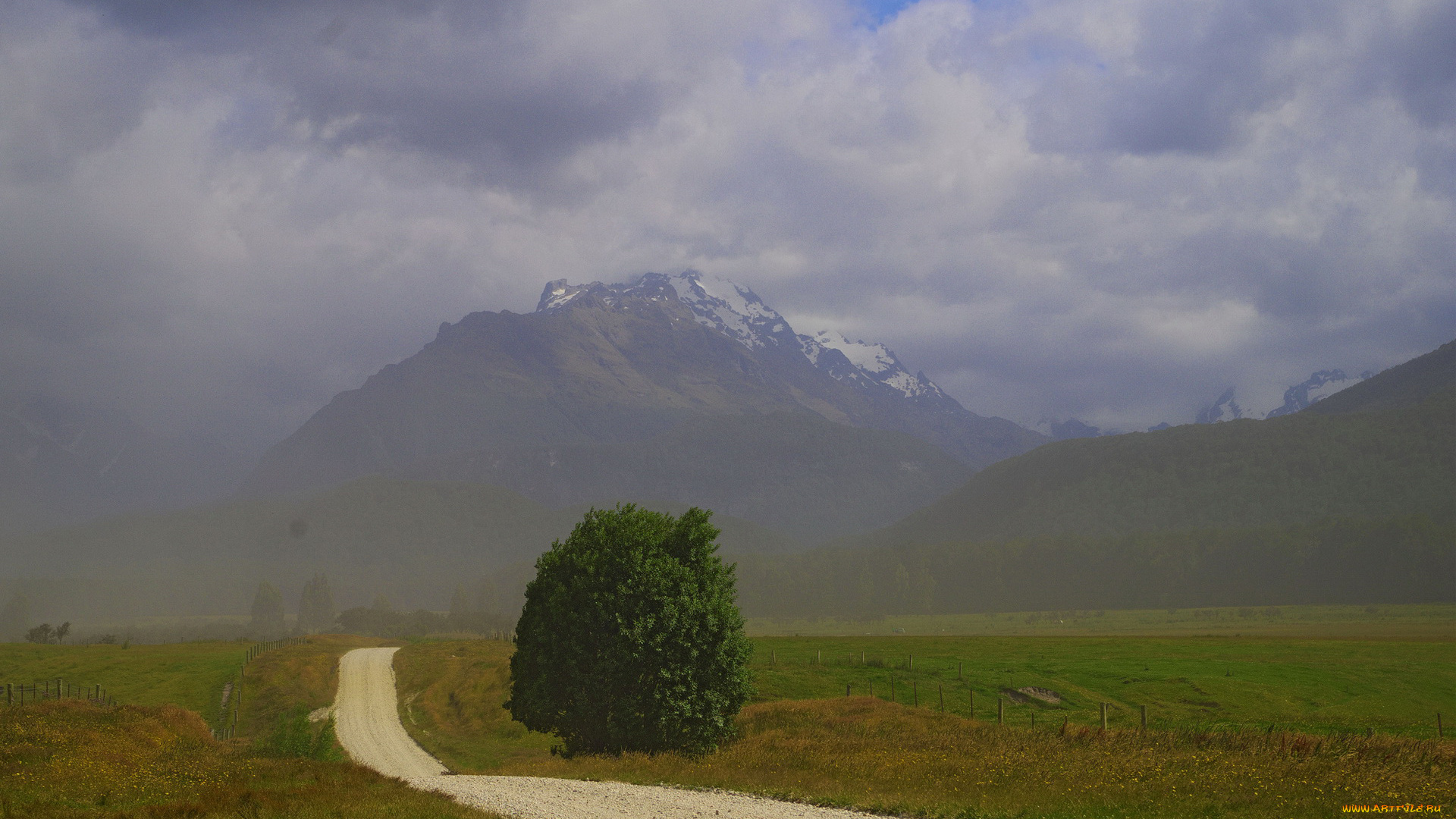 природа, дороги, туман