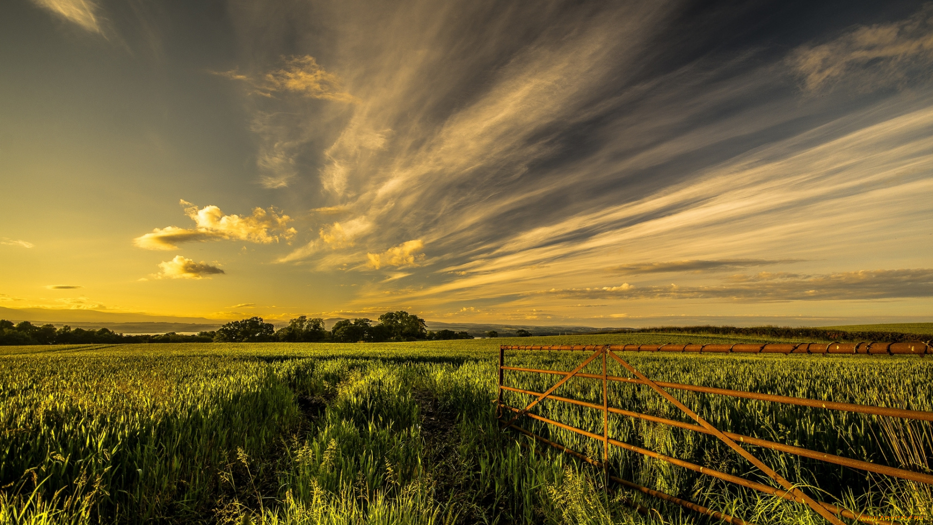 природа, поля, поле, ограда, лето
