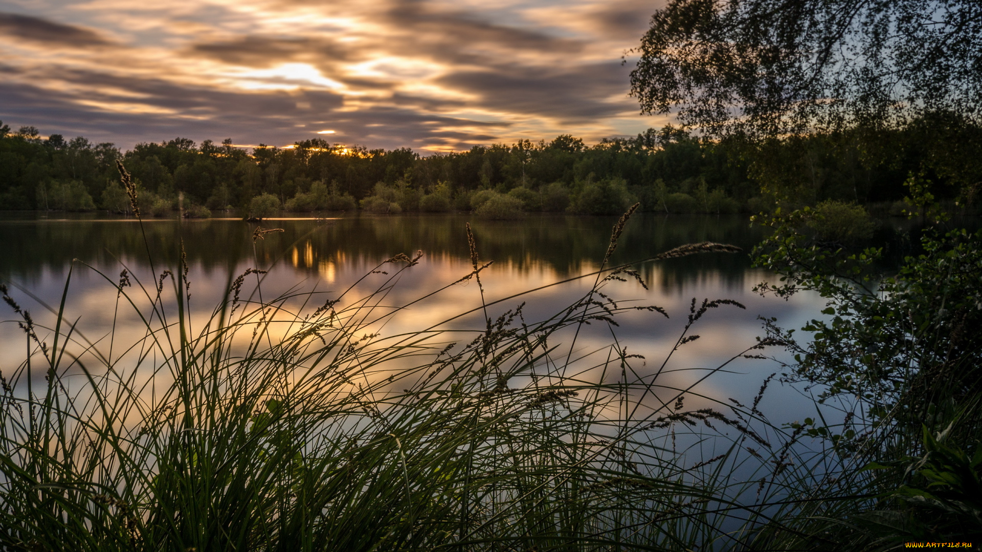 природа, реки, озера, лес, озеро, лето
