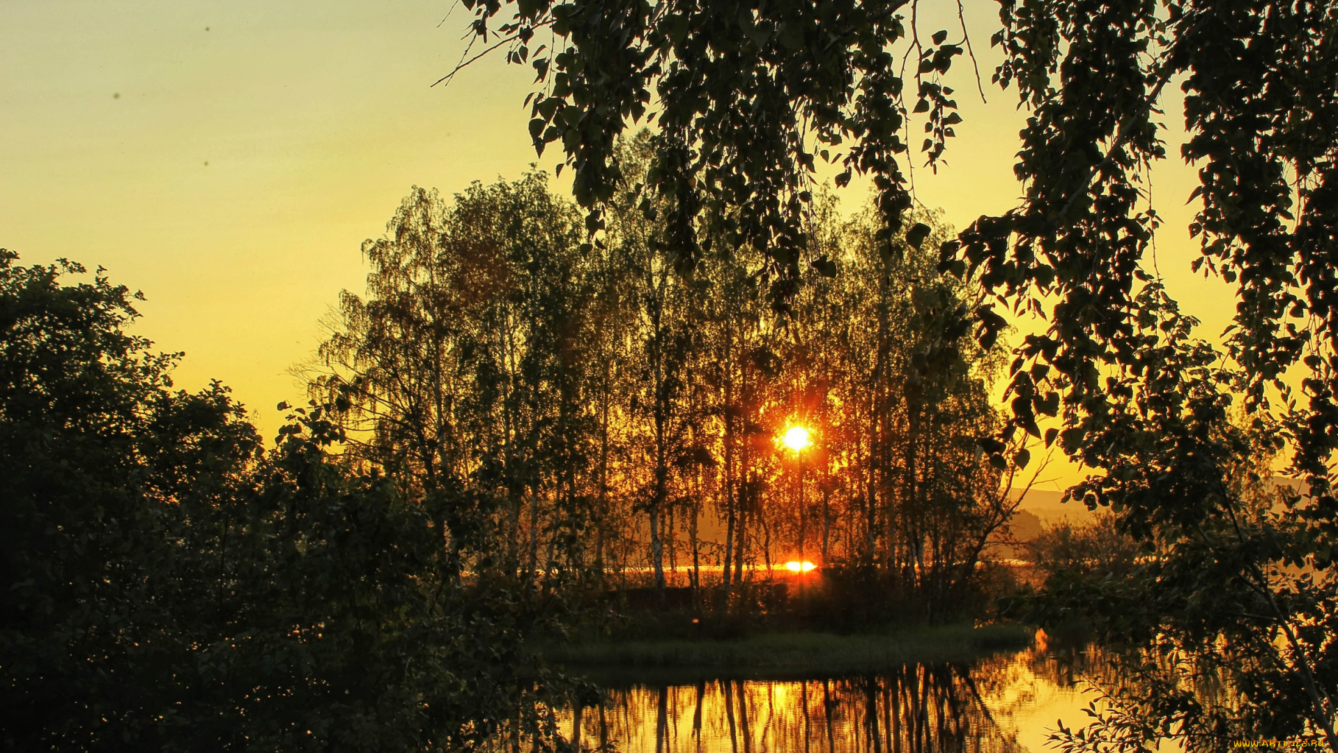 природа, восходы, закаты, деревья, закат