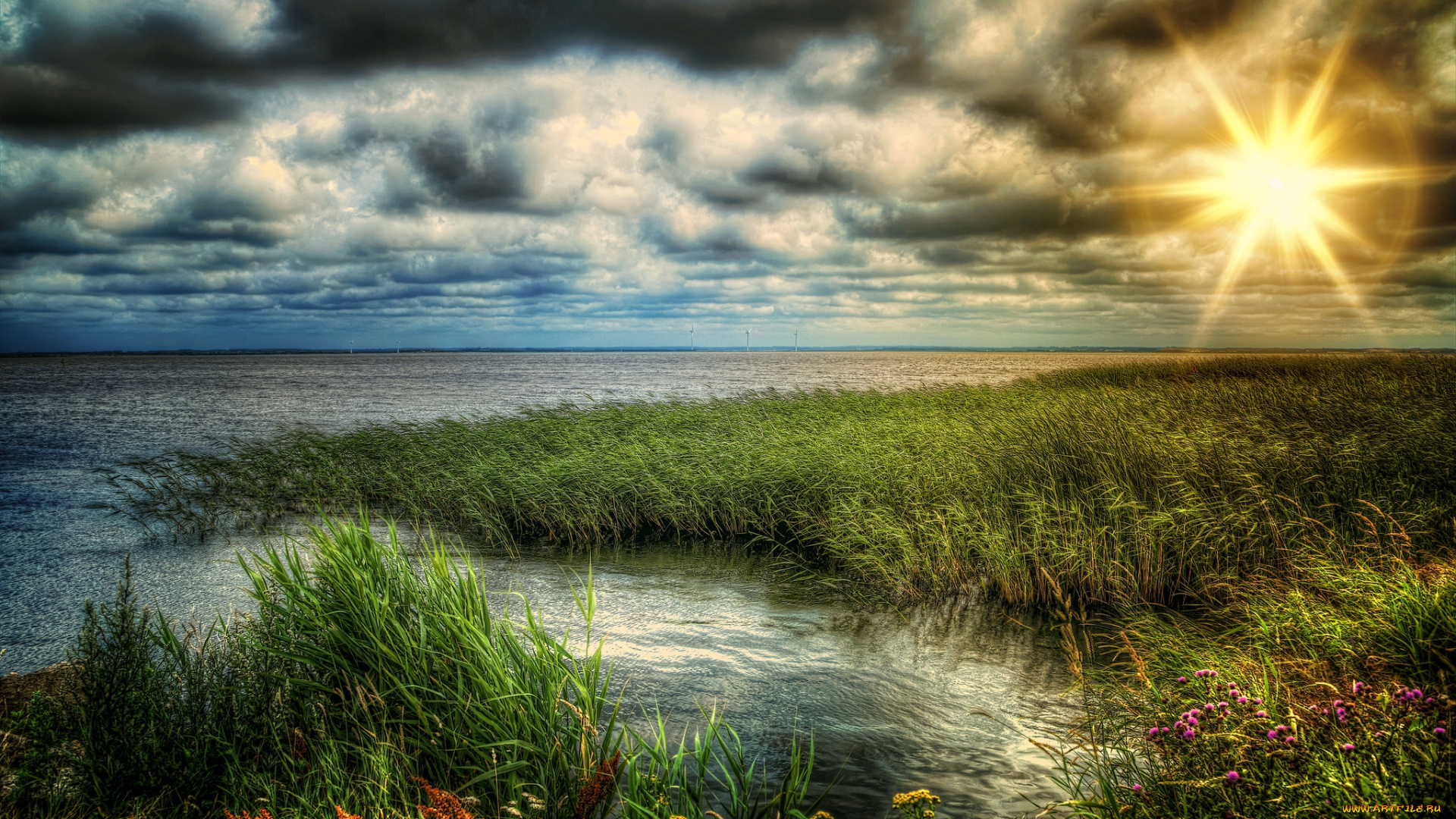 природа, восходы, закаты, солнце, озеро, тучт, трава
