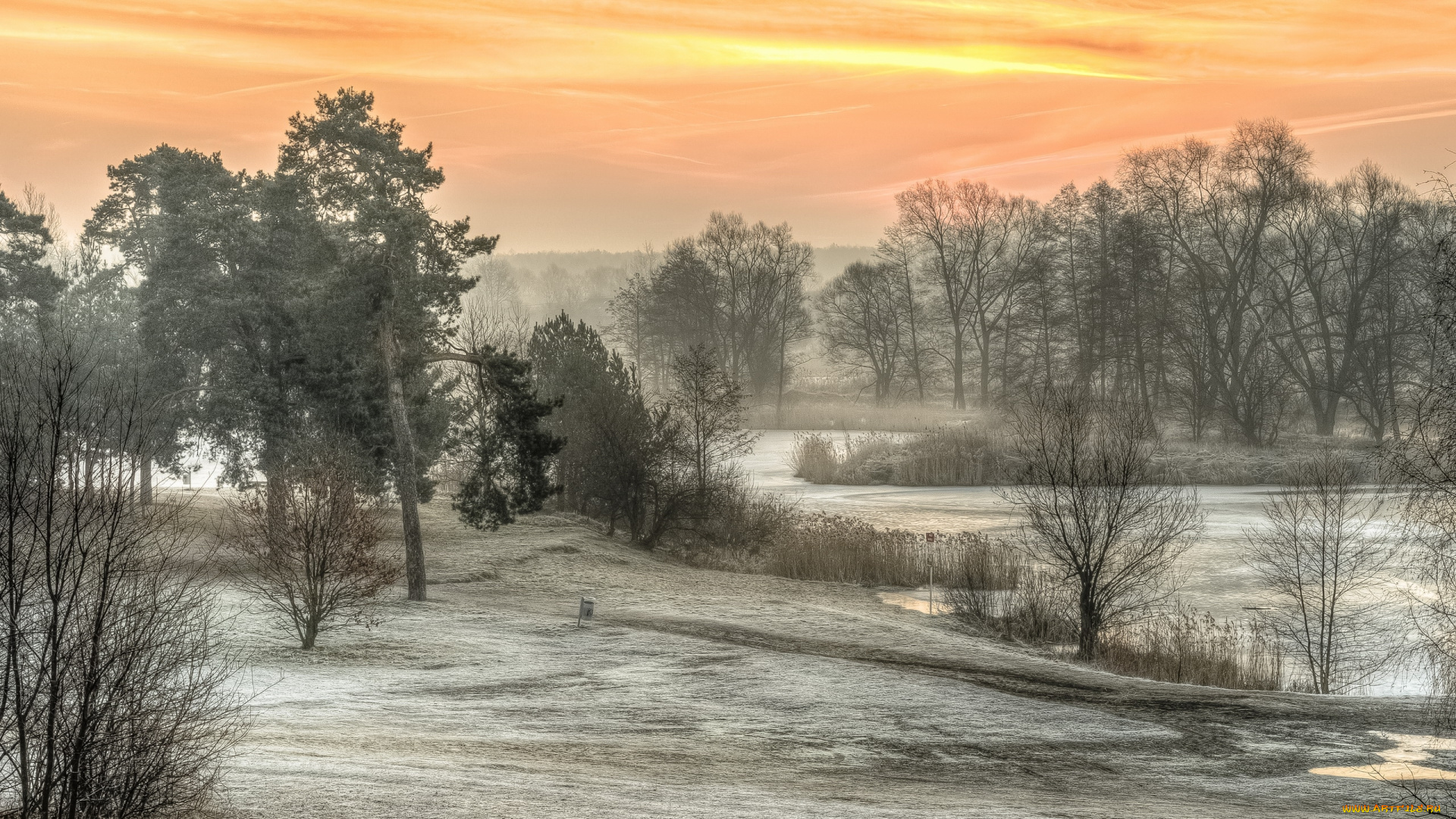 природа, зима, солнечно, морозно, утро, польша, залесье-дольне