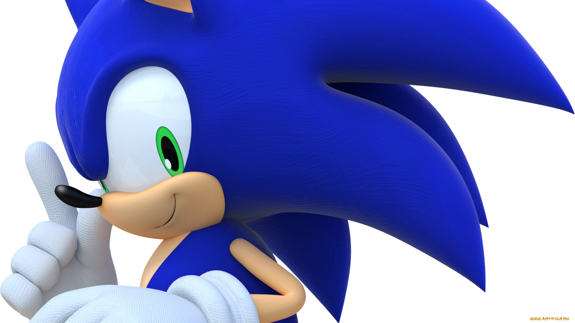 sonic, , the, hedgehog, видео, игры, ежик