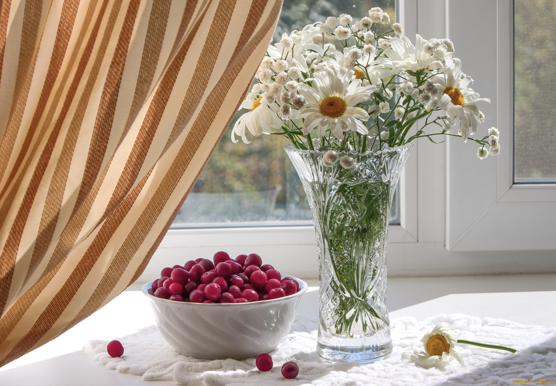 еда, клюква, ягоды, букет