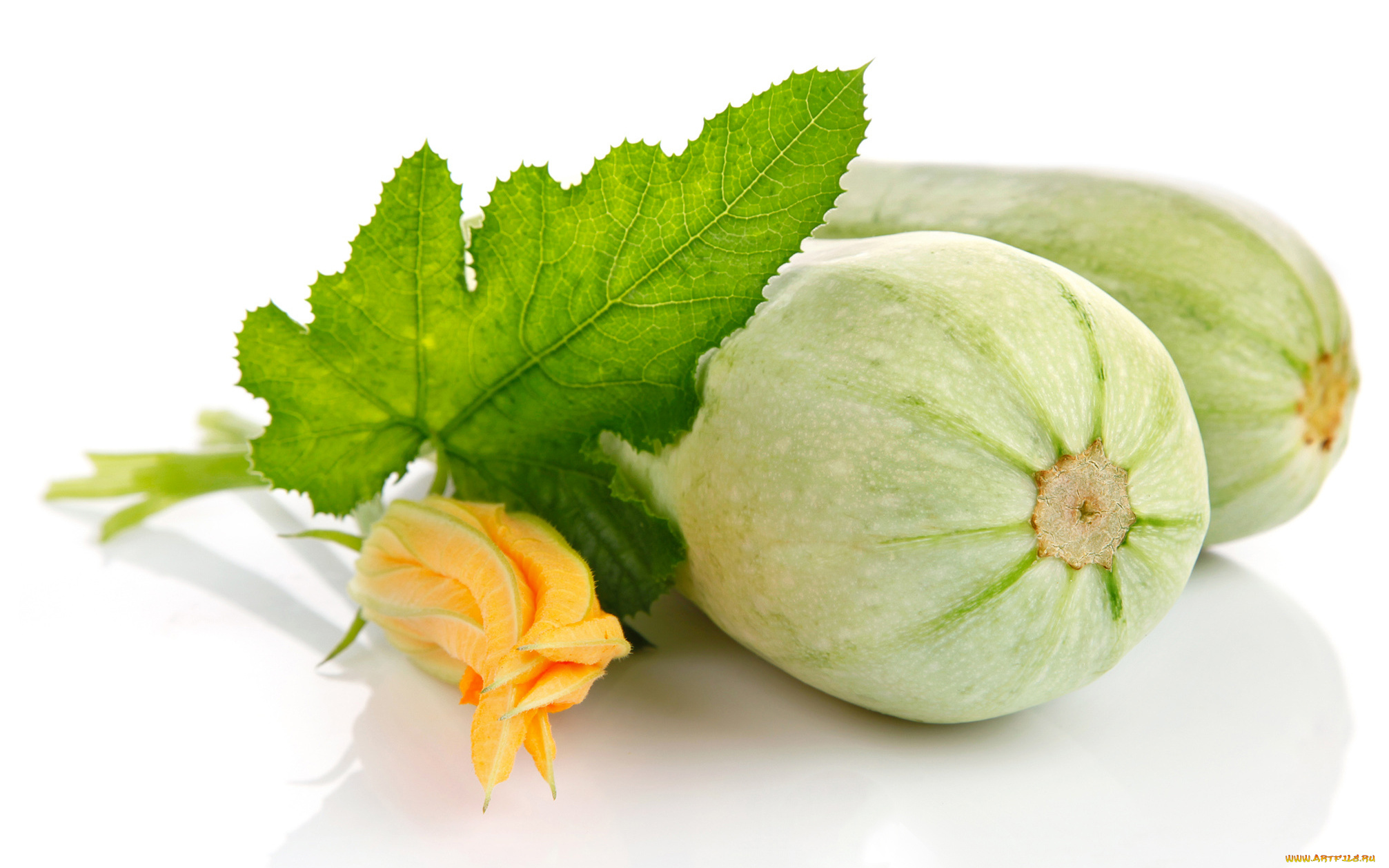 еда, кабачки, , цуккини, , патиссоны, плоды