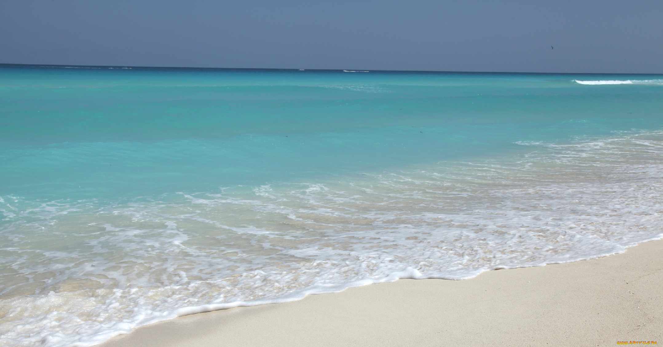 природа, моря, океаны, берег, волна, пена