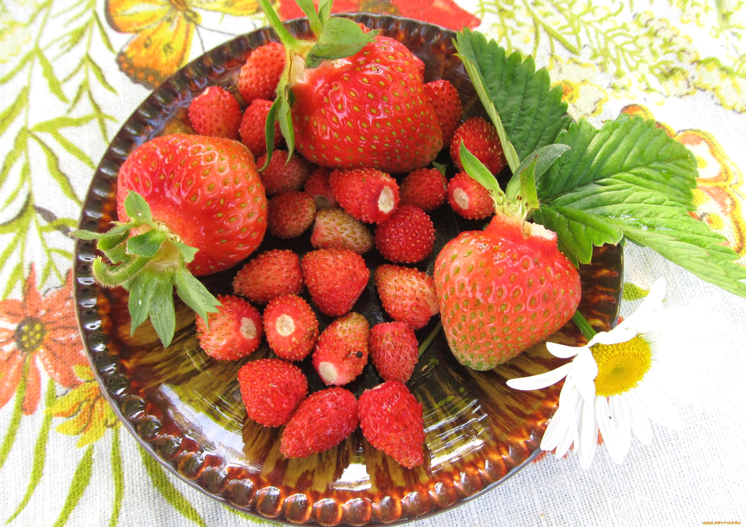 еда, клубника, , земляника, ягоды