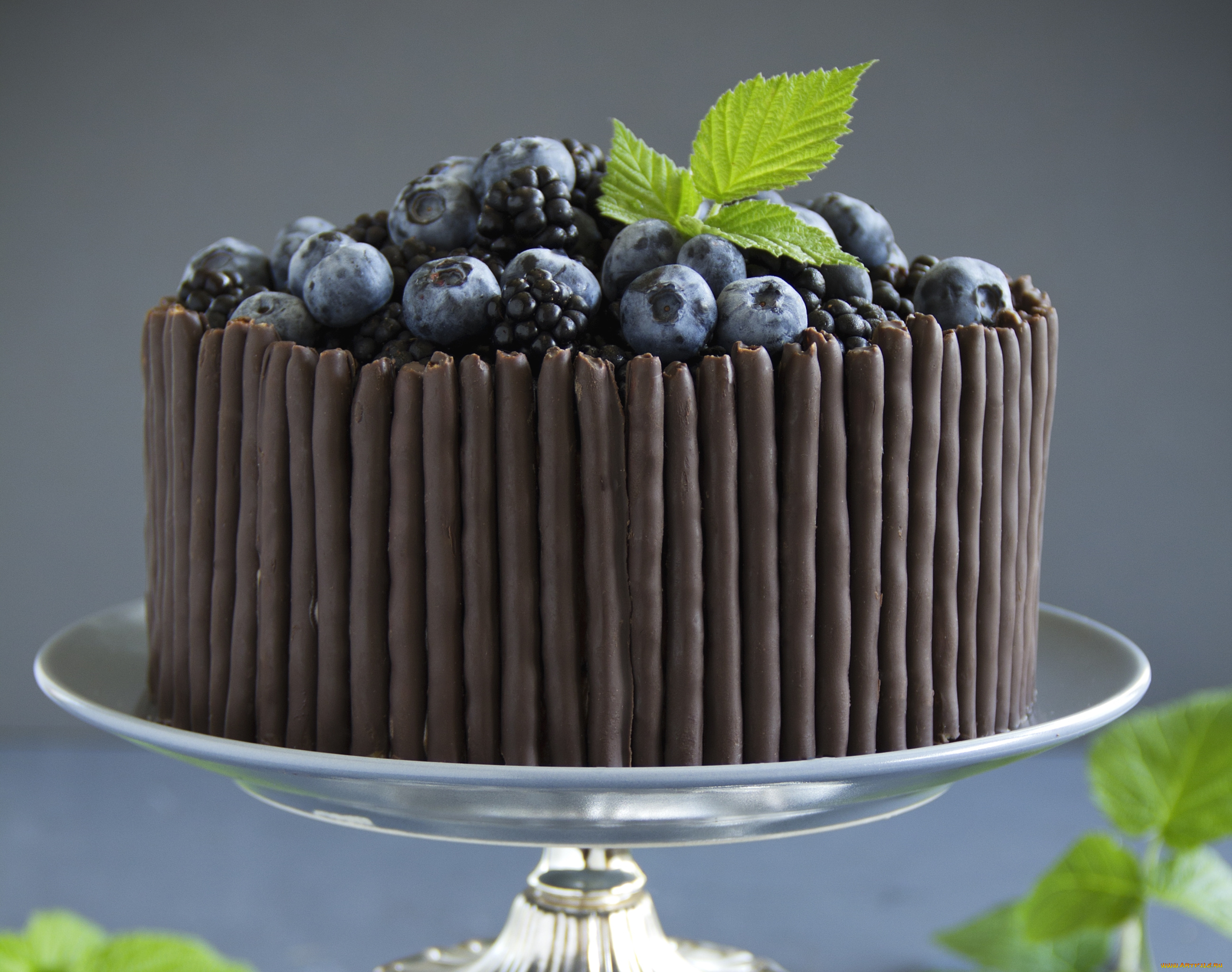 еда, торты, торт, голубика