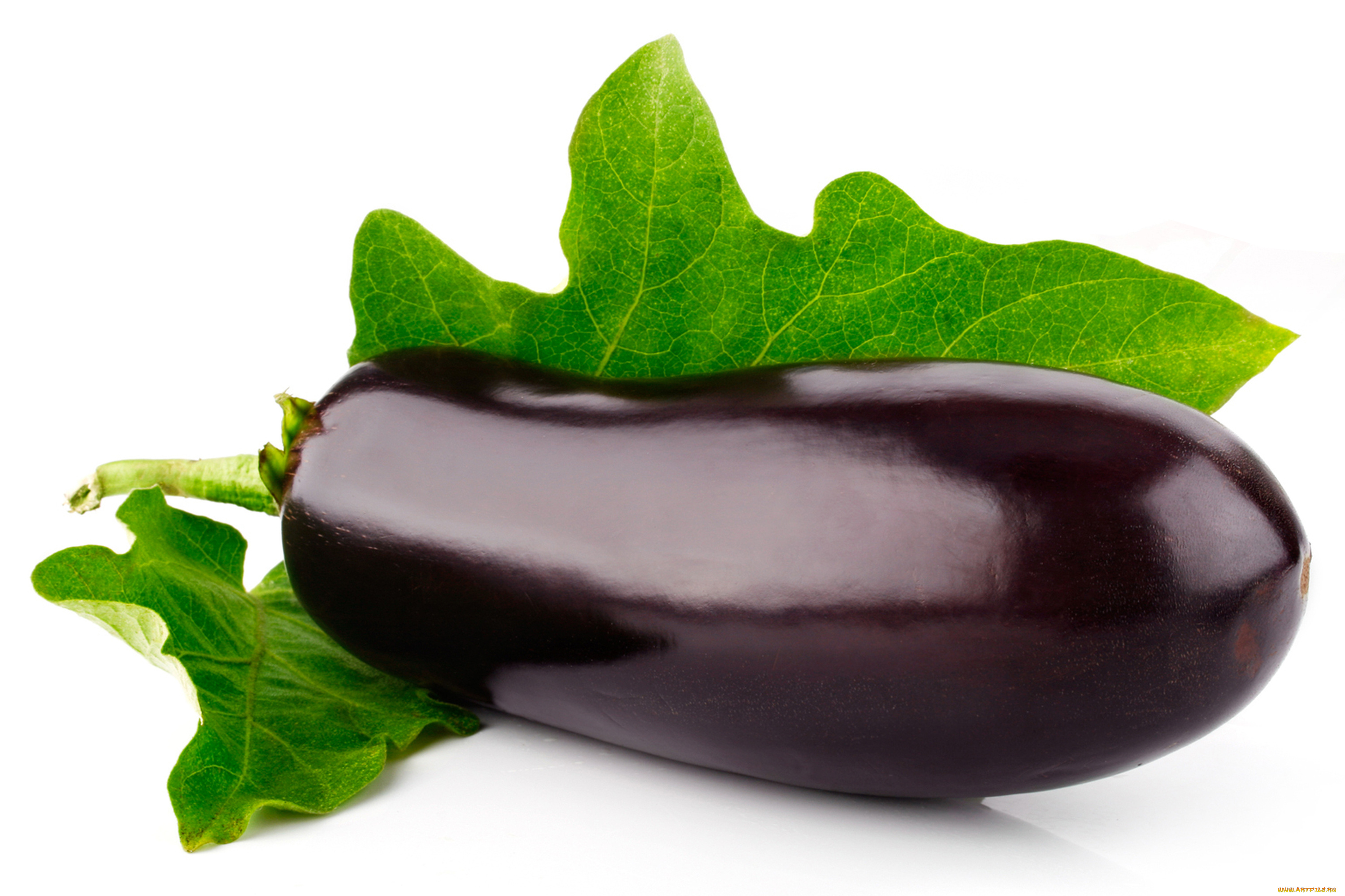 еда, баклажаны, синенький