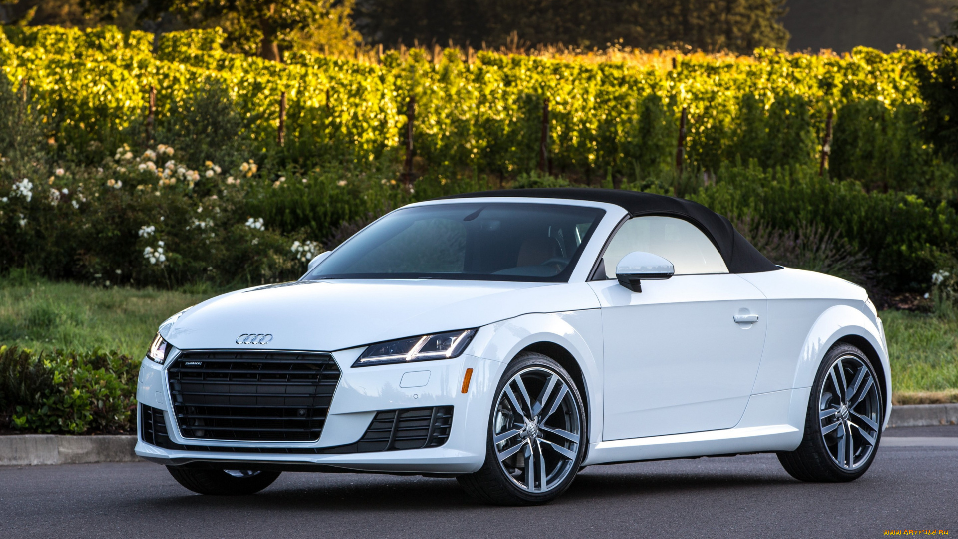 автомобили, audi, roadster, tt, 2015, родстер, тт, ауди, us-spec, quattro, tfsi