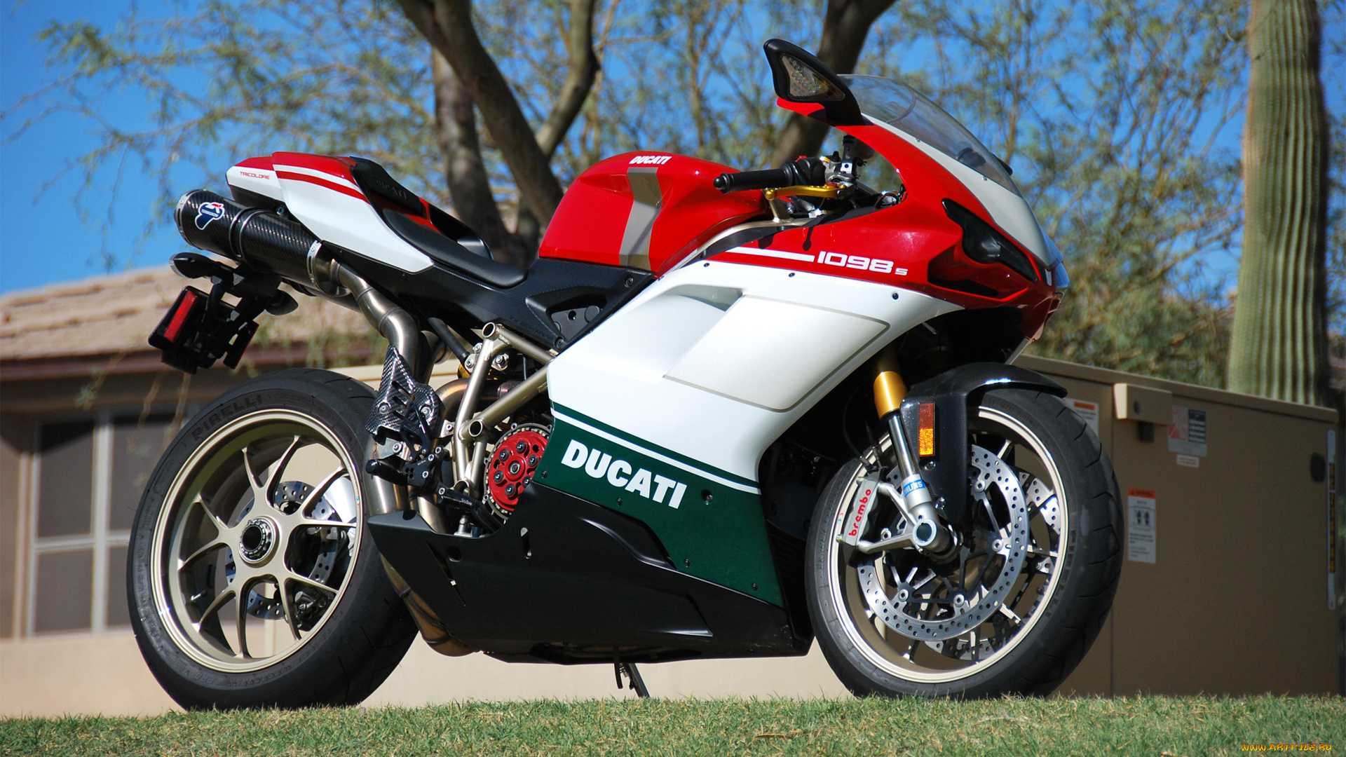 мотоциклы, ducati