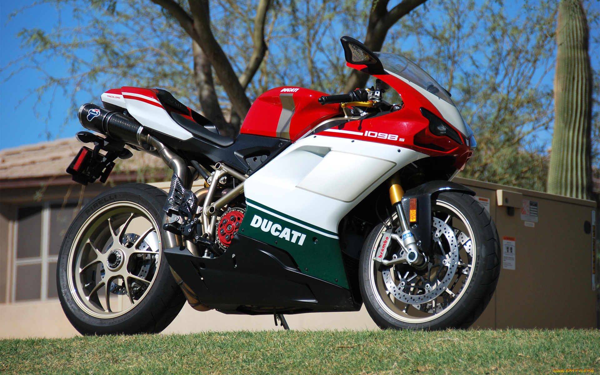 мотоциклы, ducati