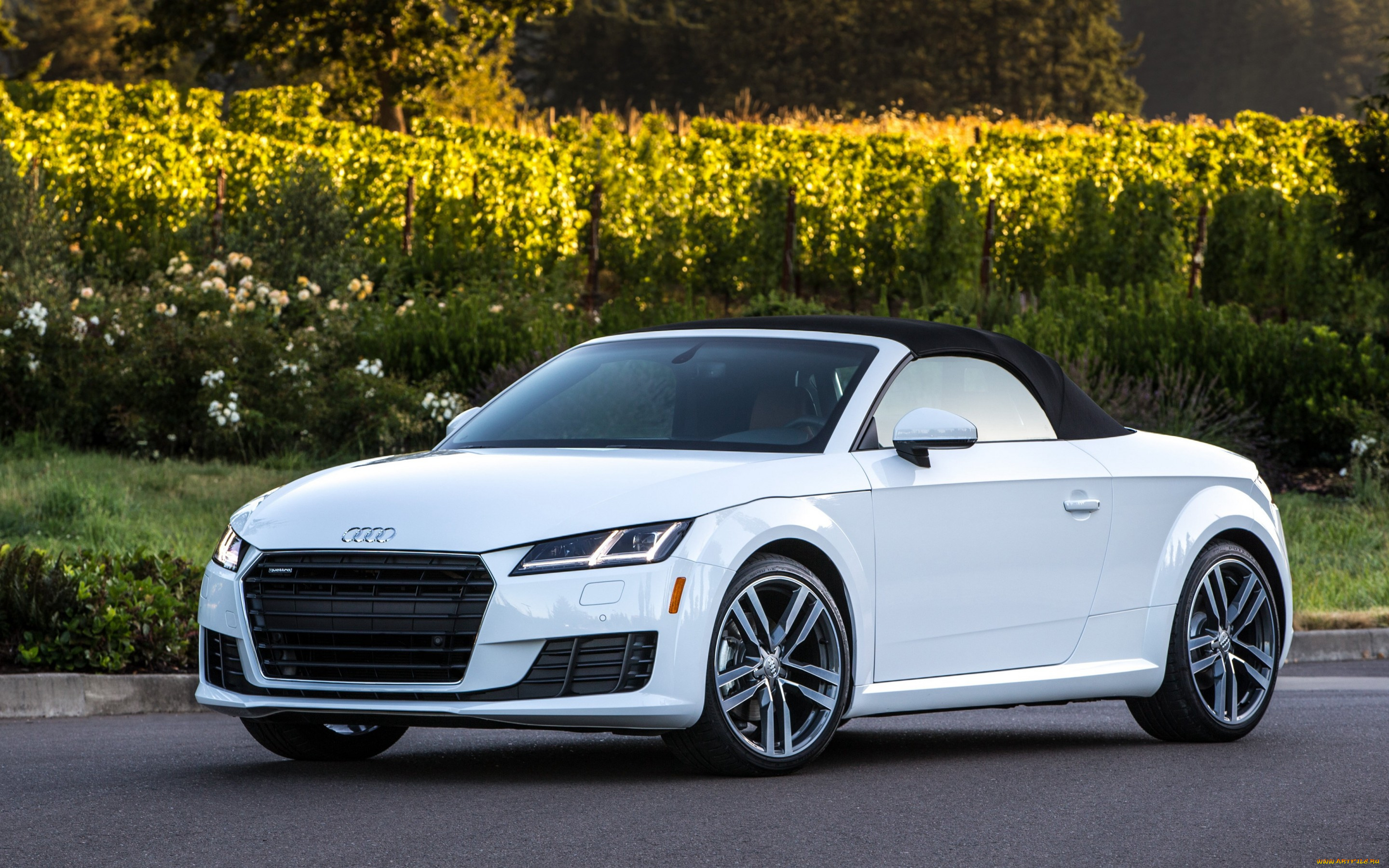 автомобили, audi, roadster, tt, 2015, родстер, тт, ауди, us-spec, quattro, tfsi