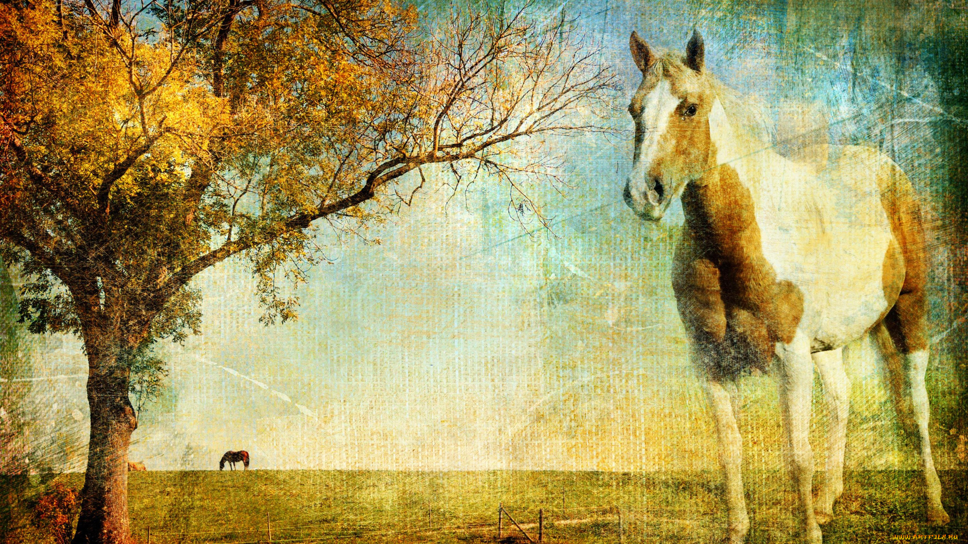 разное, компьютерный, дизайн, конь, осень, дерево, лошадь, небо, пегая