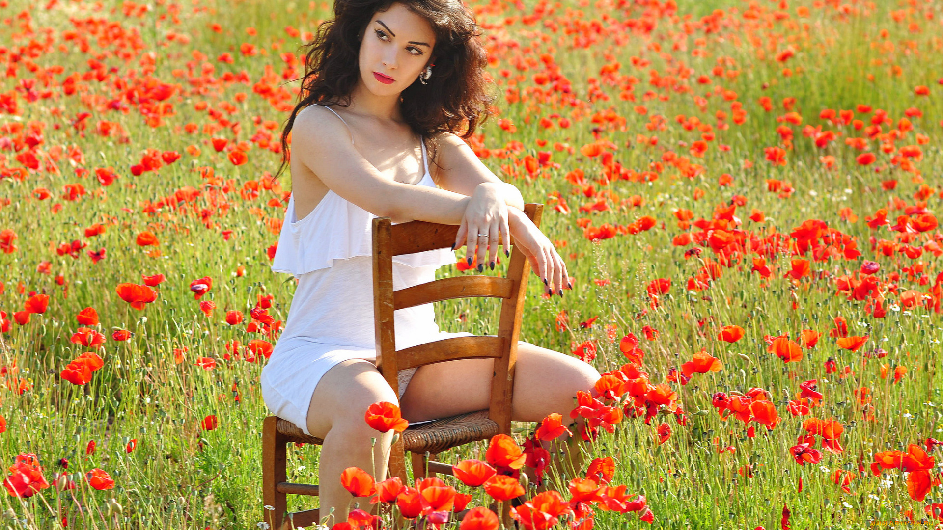 девушки, -unsort, , брюнетки, темноволосые, маки, цветы, поле, стул, шатенка, девушка