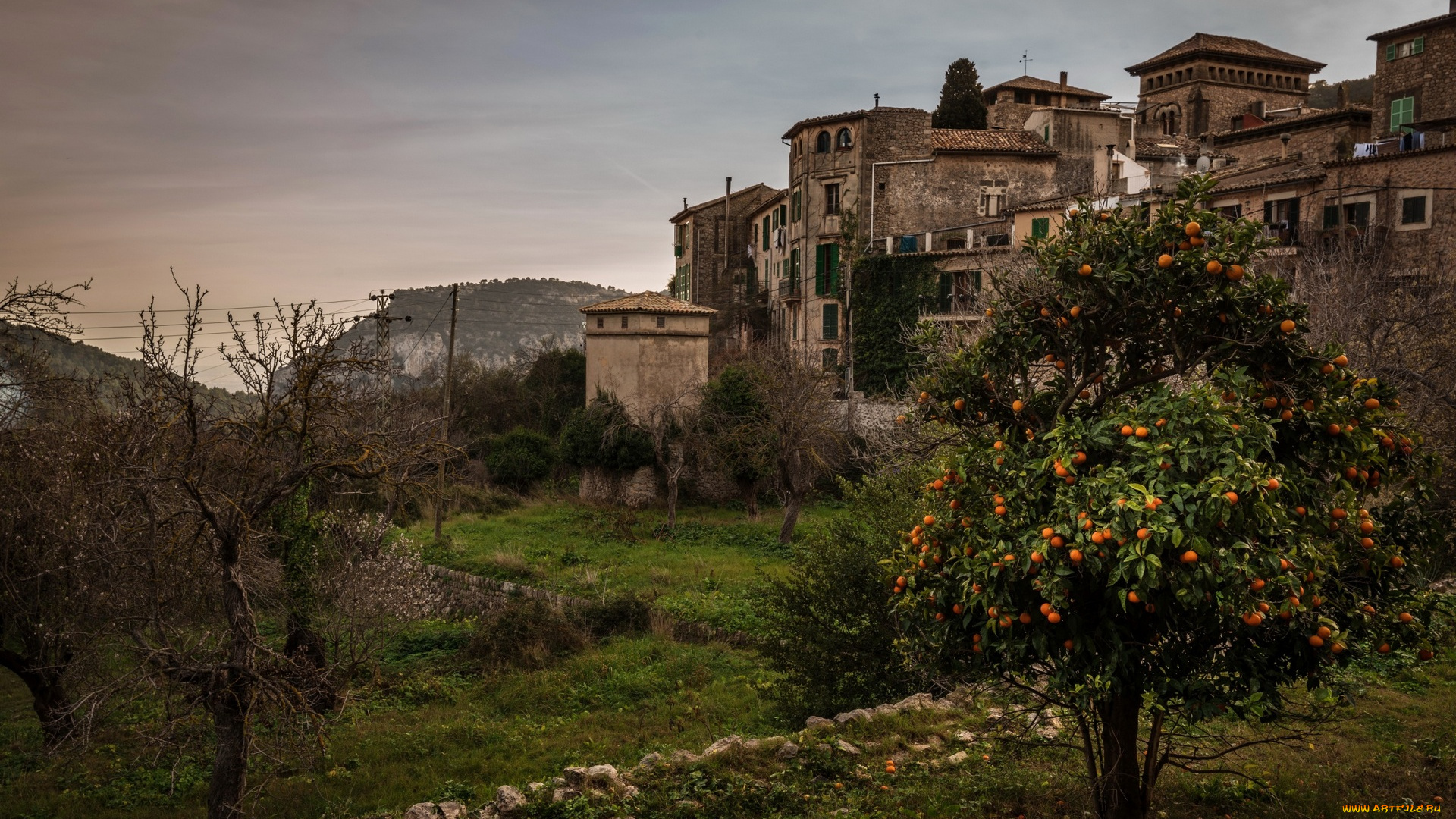 испания, города, -, здания, , дома, деревья, растения, гора, цитрус, трава