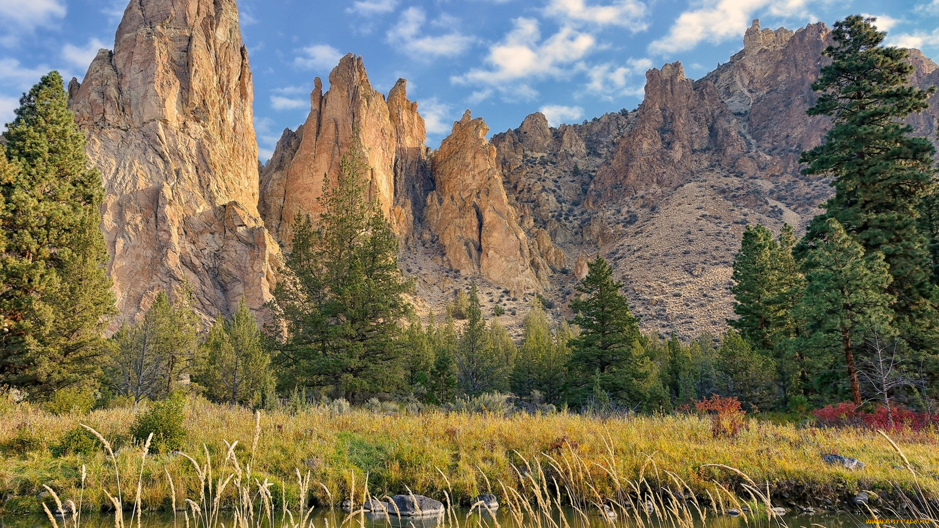 природа, горы, простор