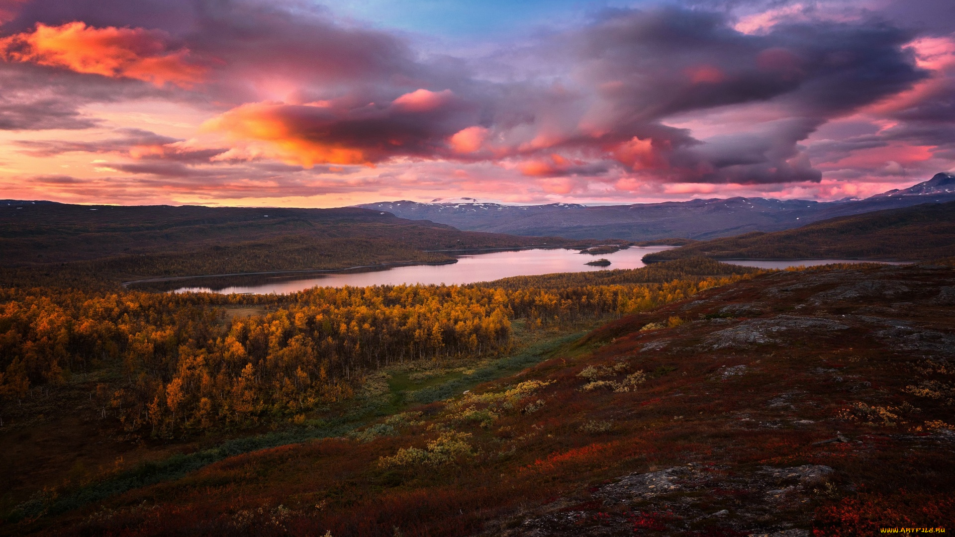 природа, пейзажи, водоем, растения, деревья, холмы