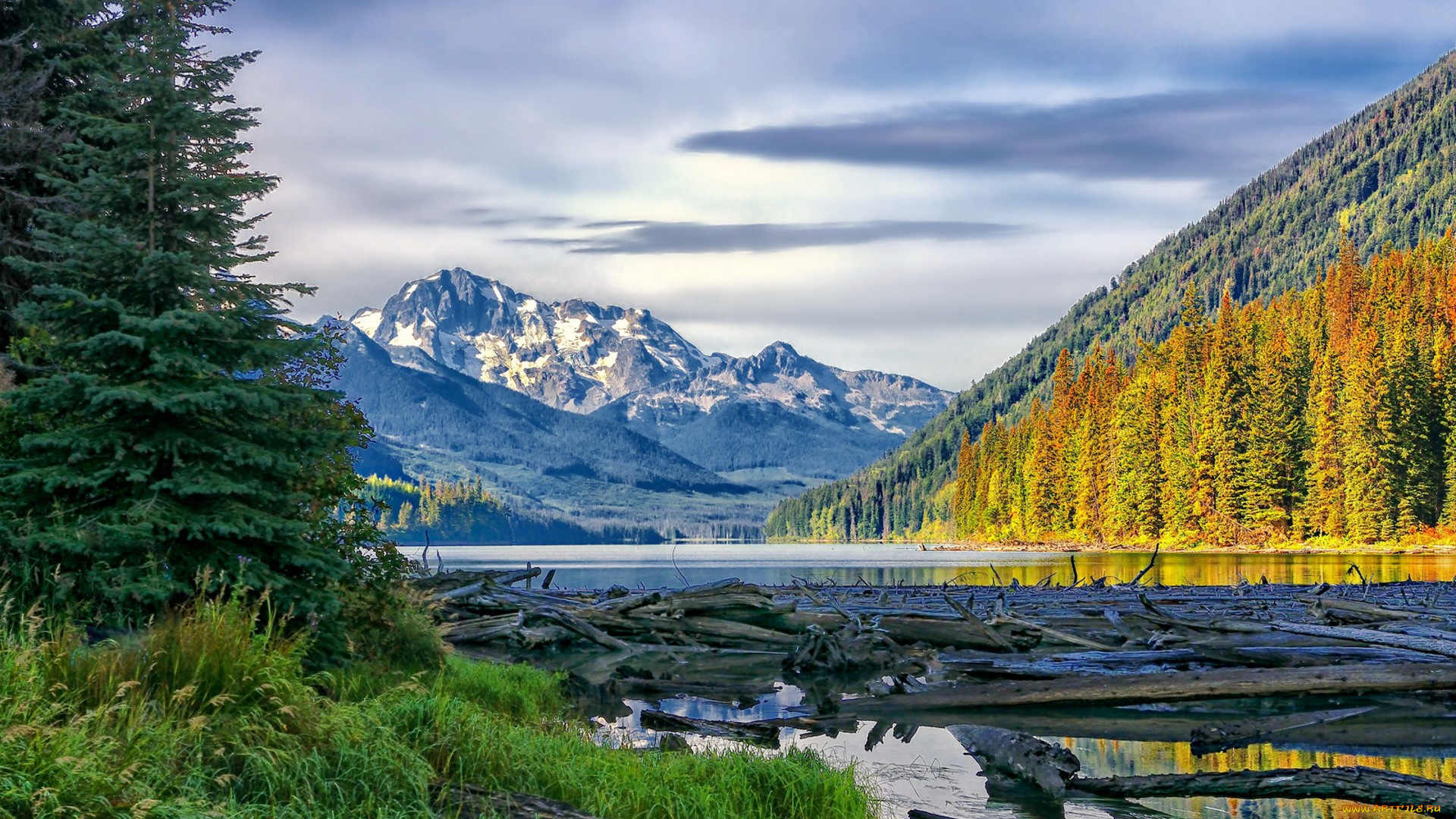 природа, реки, озера, простор