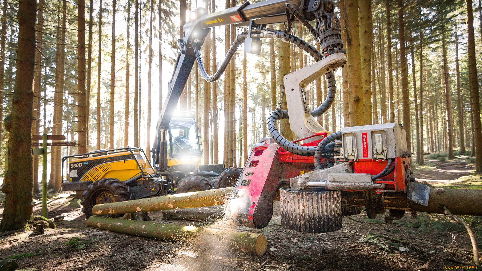 техника, лесоповалочная, техника, лесозаготовка