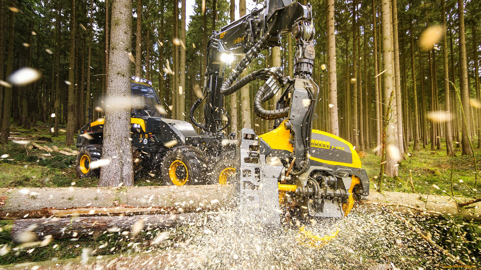 техника, лесоповалочная, техника, лесозаготовка