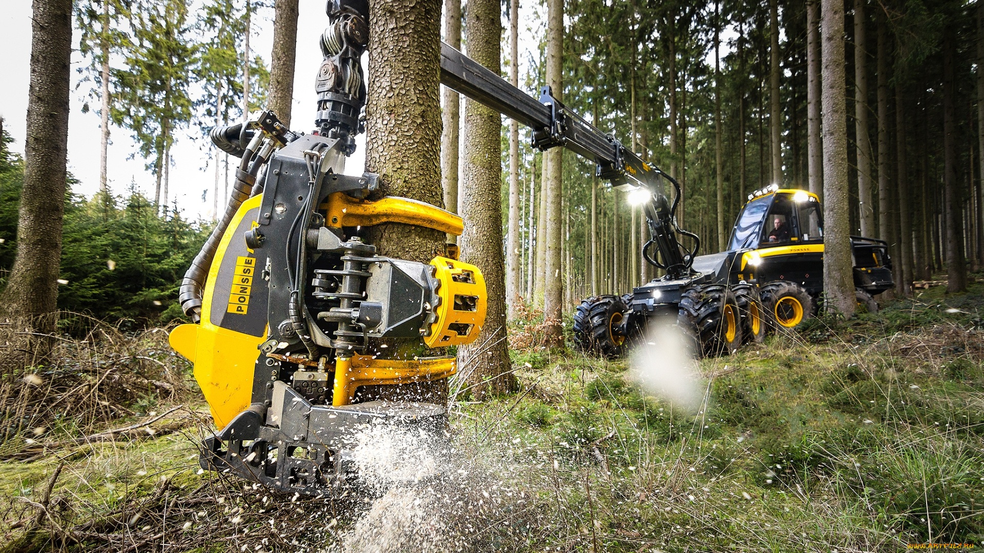 техника, лесоповалочная, техника, лесозаготовка