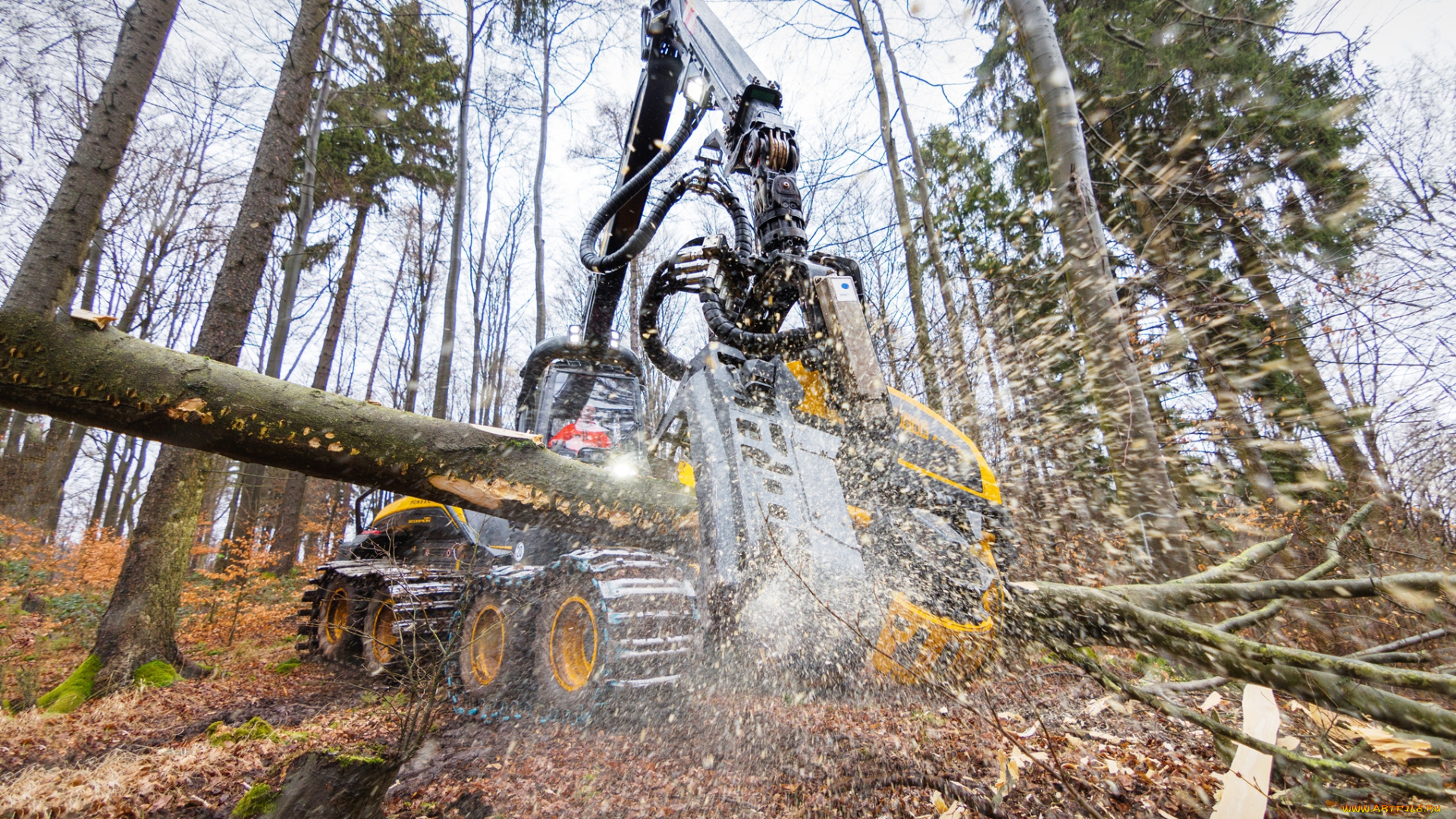 техника, лесоповалочная, техника, лесозаготовка