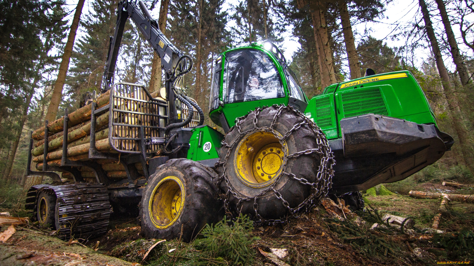 техника, лесоповалочная, техника, лесозаготовка