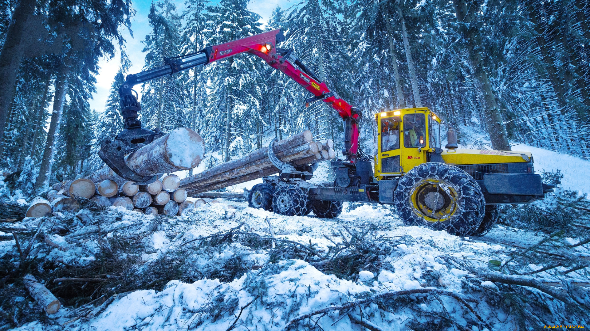 техника, лесоповалочная, техника, лесозаготовка