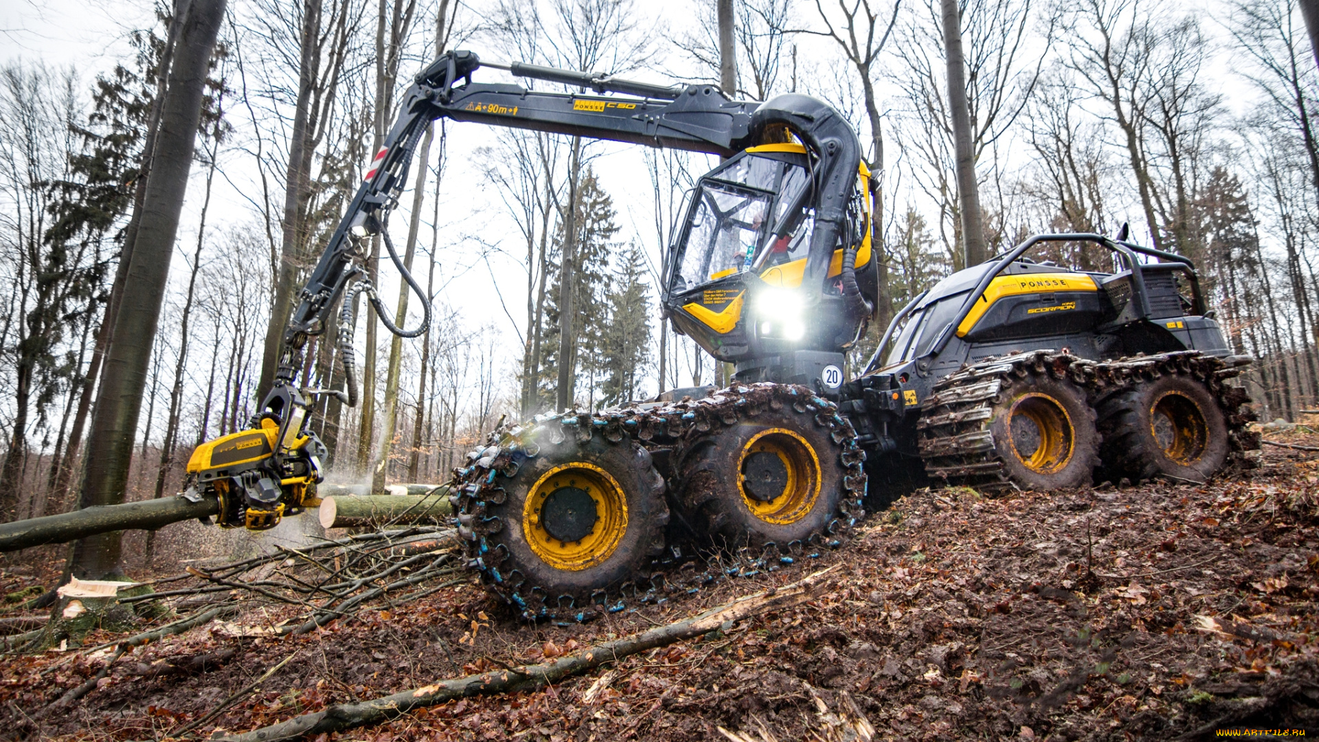 техника, лесоповалочная, техника, лесозаготовка
