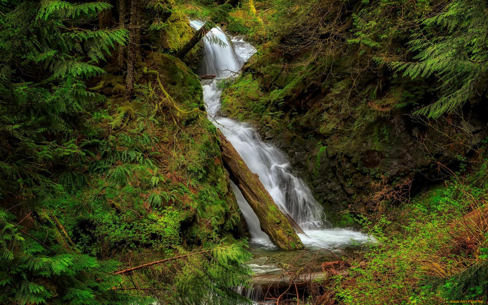 природа, водопады, водопад, деревья, лес