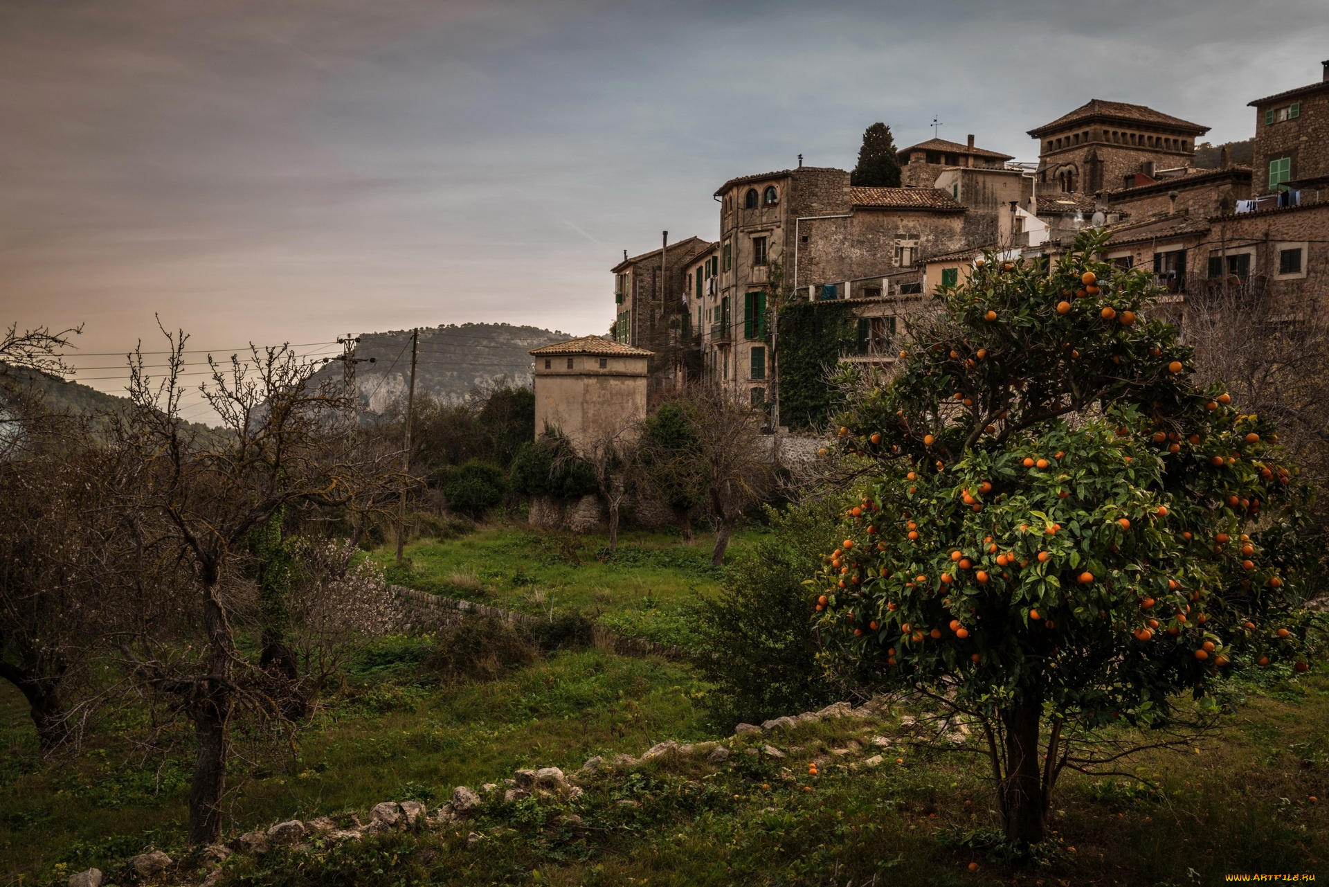 испания, города, -, здания, , дома, деревья, растения, гора, цитрус, трава