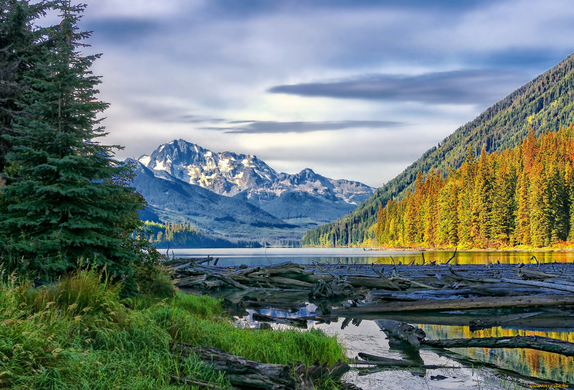 природа, реки, озера, простор