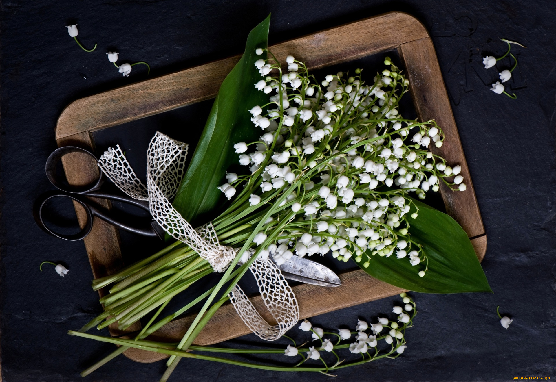 цветы, ландыши, ножницы, черный, фон, лента, рамка