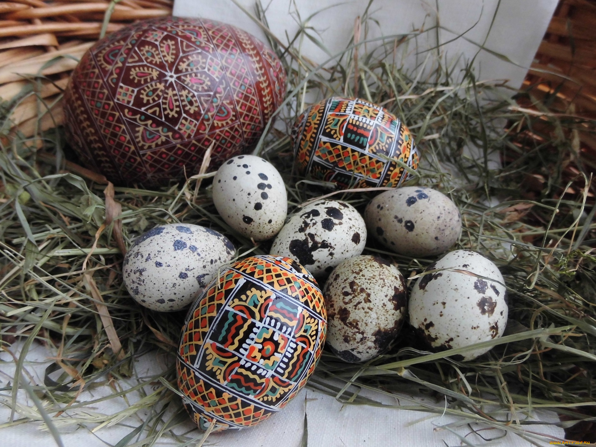 праздничные, пасха, трава, яйцо, наклейки