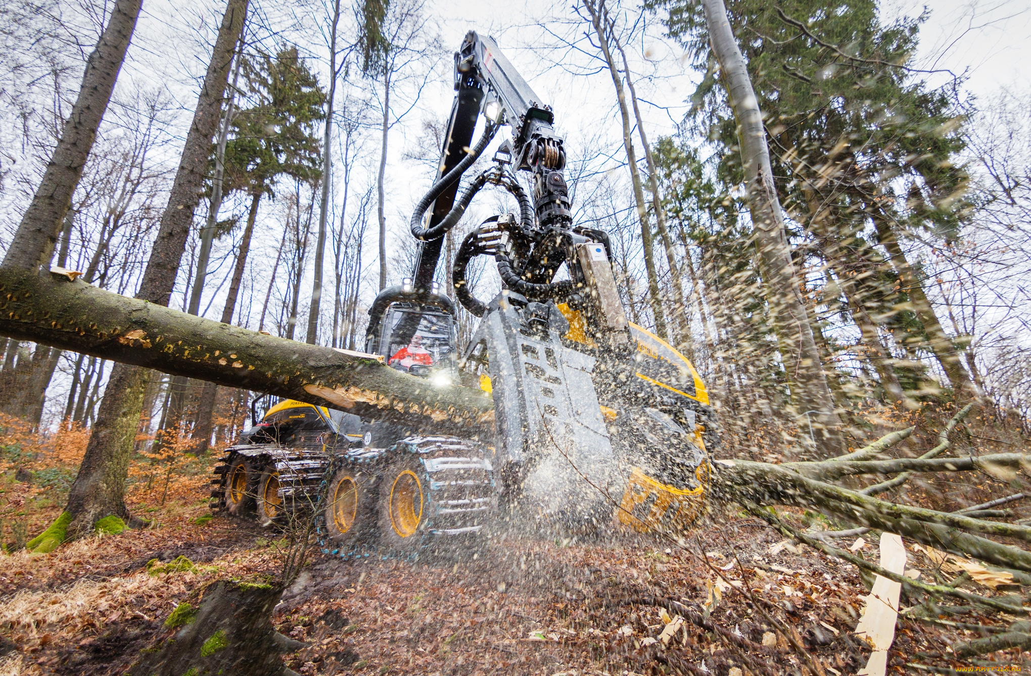 техника, лесоповалочная, техника, лесозаготовка