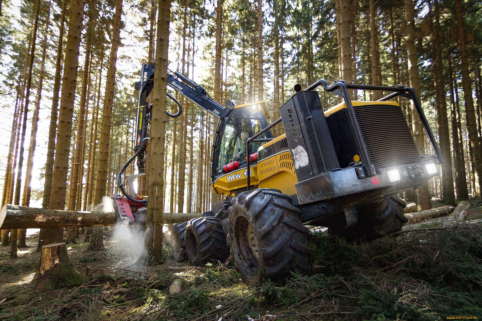 техника, лесоповалочная, техника, лесозаготовка