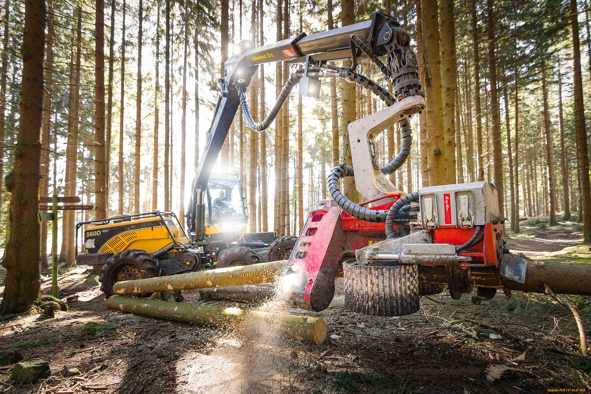техника, лесоповалочная, техника, лесозаготовка