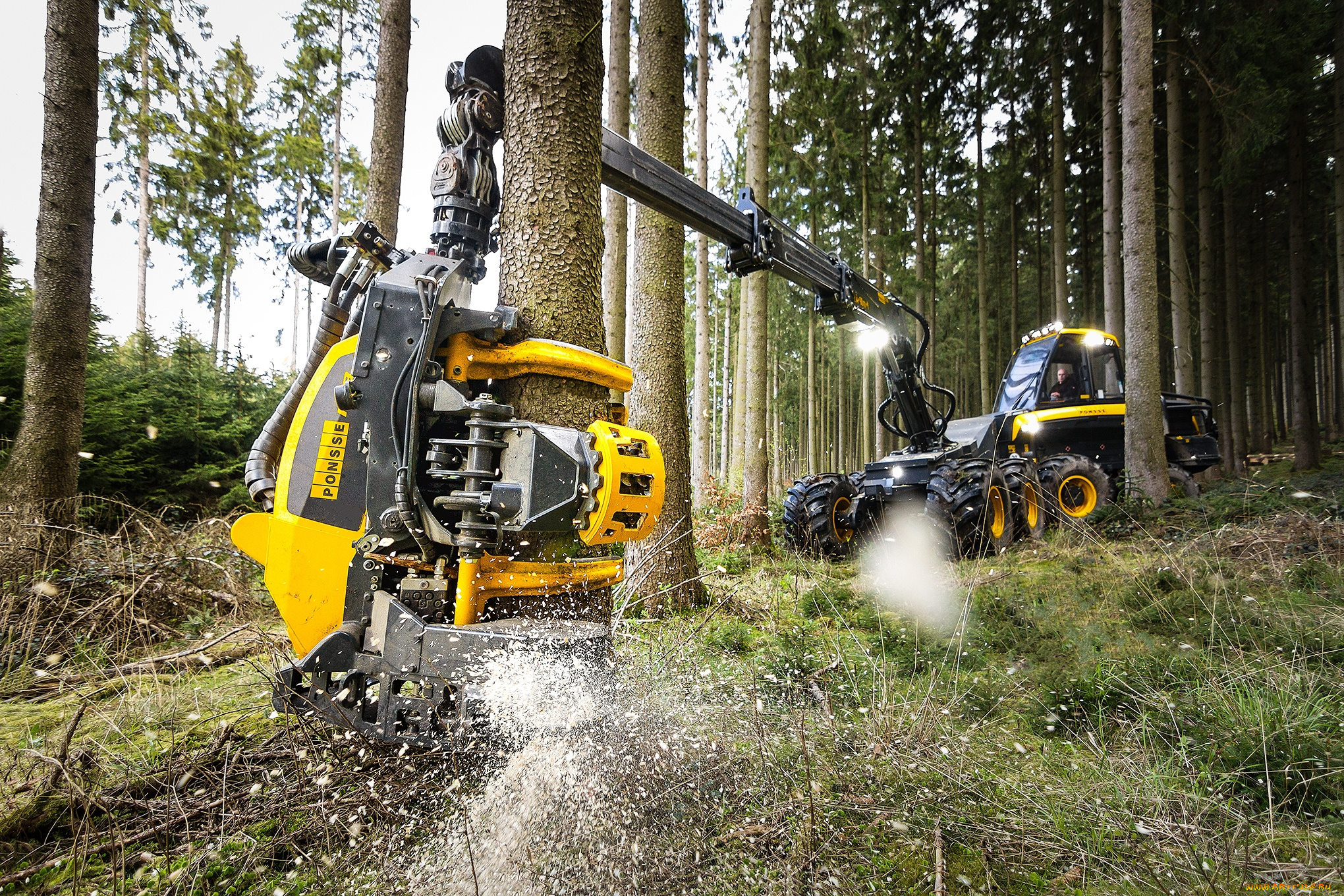 техника, лесоповалочная, техника, лесозаготовка